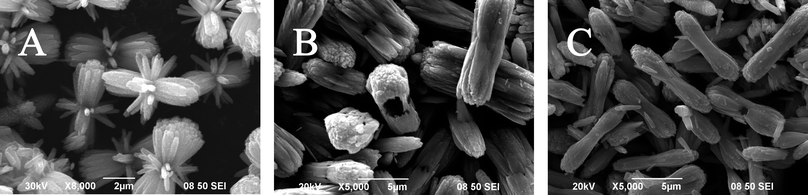 
            SEM images of the sample prepared with less ammonia (1.0 mL) at 160 °C for 2 h (A); with more ammonia (2.0 mL) at 120 °C for 24 h (B); and with more ammonia (2.0 mL) at 200 °C for 24 h (C).