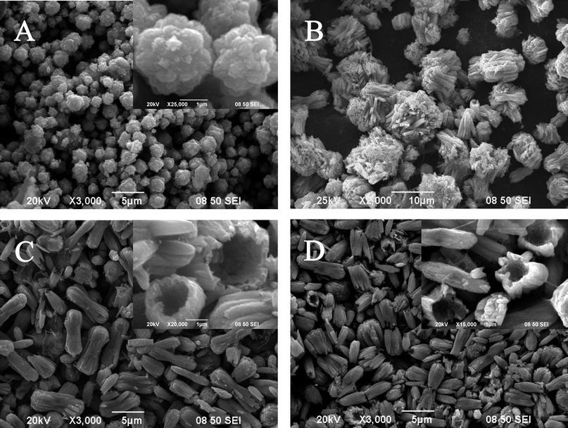 
            SEM images of the products obtained at different reaction times: 0.5 h (A); 1 h (B); 4 h (C); 24 h (D). Inset: high magnification of the images (A), (C) and (D).