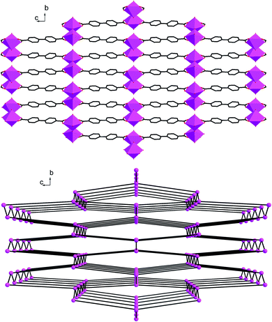 (a) A polyhedral view of the 3D open-framework of complex 2 along a axis; (b) The 4-connected topological structure of complex 2.