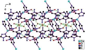A water tape joins the adjacent 2D coordination networks via the hydrogen bond interactions.