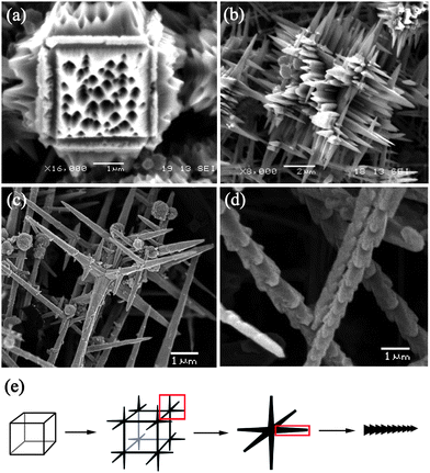 
            SEM images of Cu2O micro/nano-crystals obtained with R = 1/3 for (a) 3 h, (b) 5 h, (c) 8 h, (d) 10 h. (e) The schematic representation of the transition from micro-porous cubes to nano-bamboo shoots.