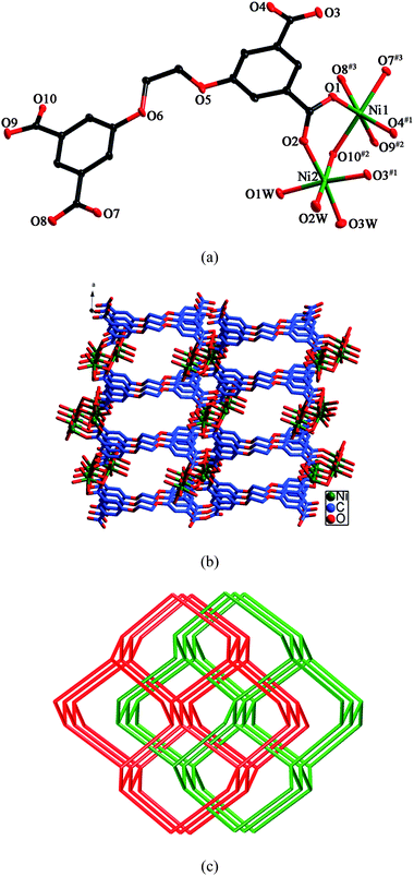 (a) ORTEP view of 1 showing the local coordination environments of Ni(ii) ions with hydrogen atoms and lattice water molecules omitted for clarity (30% probability displacement ellipsoids). Symmetry codes: #1 −x + 1/2, y − 1/2, −z + 3/2; #2 −x + 1/2, y − 1/2, −z + 1/2; #3 x + 1, y, z + 1. (b) Schematic representation of the 3D framework of 1. (c) View of the 2-fold interpenetrating diamond framework of 1.