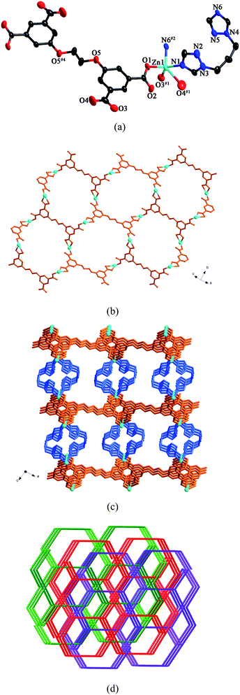 (a) ORTEP view of 10 showing the local coordination environments of Zn(ii) ions with hydrogen atoms and lattice water molecules omitted for clarity (30% probability displacement ellipsoids). Symmetry codes: #1 −x + 3/2, y + 1/2, −z + 3/2; #2 −x + 1, y, −z + 1/2; #4 −x + 2, −y, −z + 1. (b) 2D layer furnished by Zn(ii) ions and L anions. (c) View of the 3D framework of 10. (d) View of the 3-fold interpenetrating framework of 10.