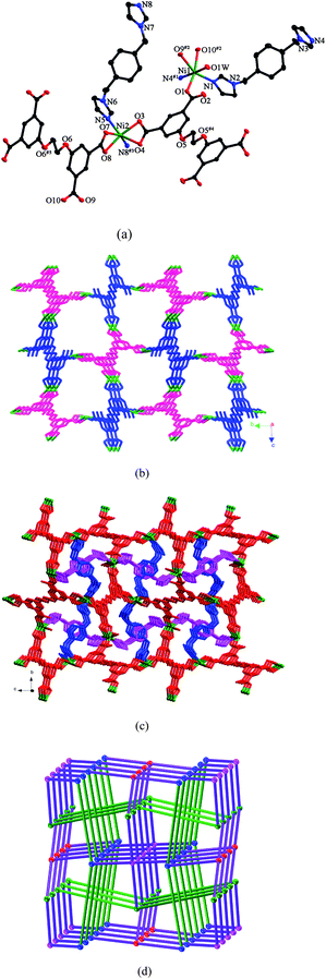 (a) ORTEP view of 2 showing the local coordination environments of Ni(ii) ions with hydrogen atoms and lattice water molecules omitted for clarity (30% probability displacement ellipsoids). Symmetry codes: #1 x, −y + 1/2, z − 1/2; #2 −x, y + 1/2, −z + 1/2; #3 −x + 1, y − 1/2, −z + 1/2; #4 −x − 1, −y, −z + 1; #5 −x − 2, −y, −z. (b) 3D framework constructed by Ni(ii) ions, LA (pink) and LB (blue) anions. (c) View of the 3D framework stabilized by two kinds of the pbib ligands. (d) 3D framework with the (86)(73·82·9)(82·92·102)(82·94) topology (the blue, green, red and pink balls represent Ni1, Ni2, LA and LB, respectively, and the green lines represent the pbib ligands).