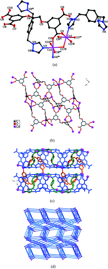 (a) ORTEP view of 4 showing the local coordination environments of Co(ii) ions with hydrogen atoms and lattice water molecules omitted for clarity (30% probability displacement ellipsoids). Symmetry codes: #1 −x, −y + 1, −z + 1; #3 x + 1/2, −y + 1/2, −z + 1; #5 x + 1/2, y + 1/2, −z + 1/2; #6 x − 1/2, −y + 1/2, −z + 1. (b) View of the double layer constructed by Co(ii) ions and L anions. (c) 3D framework of 4. (d) 3D framework with the (3·4·5·63)(32·42·5·613·73) topology.