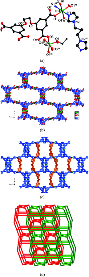 (a) ORTEP view of 5 showing the local coordination environments of Ni(ii) ions with hydrogen atoms and lattice water molecules omitted for clarity (30% probability displacement ellipsoids). Symmetry codes: #1 −x + 3/2, −y + 3/2, −z + 1; #2 −x + 2, −y + 2, −z + 2; #3 −x + 2, y, −z + 2; #4 x, −y + 2, z; #5 −x + 1, y, −z + 2. (b) View of the 3D framework formed by Ni(ii) ions and L anions. (c) 3D framework stabilized by the biim-3 ligands. (d) View of the 2-fold interpenetrating framework with the (52·62·82)(42·82·92)(4·54·6) topology.