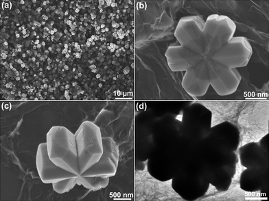 
            SEM (a–c) and TEM (d) images of the as-prepared α-FeOOH/rGO sample (180 °C, 24 h, the concentration of Fe3+ is 0.0286 M).
