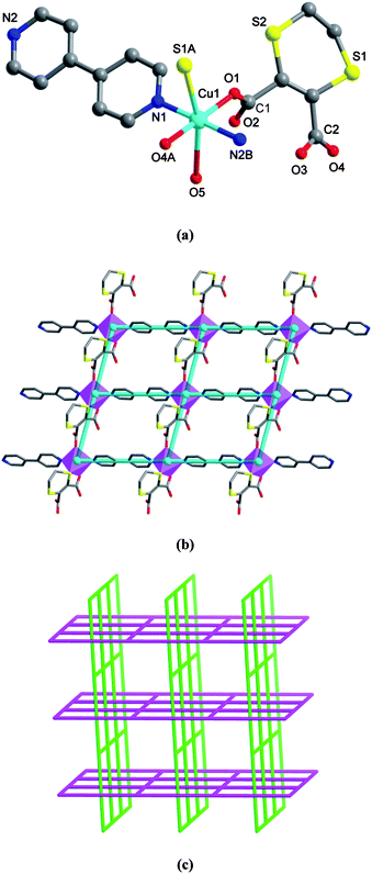 Crystal structure of 2. (a) A local view showing the coordination environment of CuII (symmetry codes: A = x, y, z − 1; B = x − 1/2, y − 1/2, z). (b) 2-D (4,4) coordination network, in which the turquoise balls represent the 4-connected CuII centers. (c) Schematic representation of the 2-D → 3-D polycatenated supramolecular architecture.