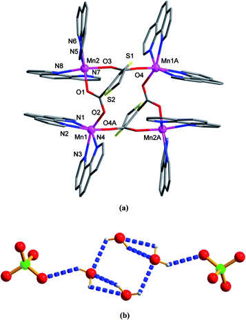 Crystal structure of 4. (a) Local coordination environments of MnII (symmetry code: A = −x, y + 2, −z). (b) View of the discrete hexamer linked by hydrogen bonds.