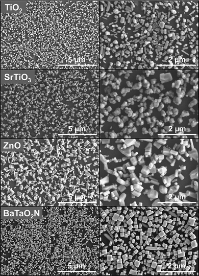 
          SEM images of TiO2, SrTiO3, ZnO and BaTaO2N monolayers deposited on GPs.