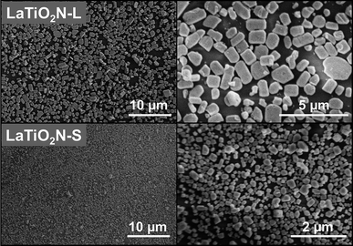 
          SEM images of LaTiO2N monolayers on GPs with large (L) and small (S) particles.