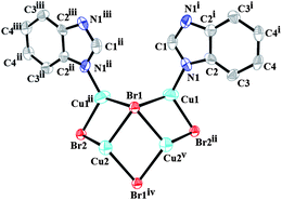 The structure of complex 1, with displacement ellipsoids drawn at the 30% probability level and H atoms elimination. Cu atoms are shown in cyan, C atoms in gray, Br atoms in red, N atoms in blue. [Symmetry codes: (i) x, −y + 1, z; (ii) −x + 2, y, −z; (iii) −x + 2, −y + 1, −z; (iv) −x + 2, −y + 2, −y + 1; (v) −x + 2, y, −z + 1.]