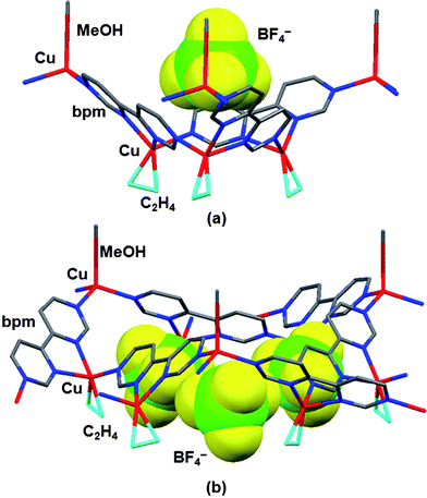 X-Ray crystal structure of complex 4b encapsulating BF4− anions in small (a) and large Cu3 cavities (b).