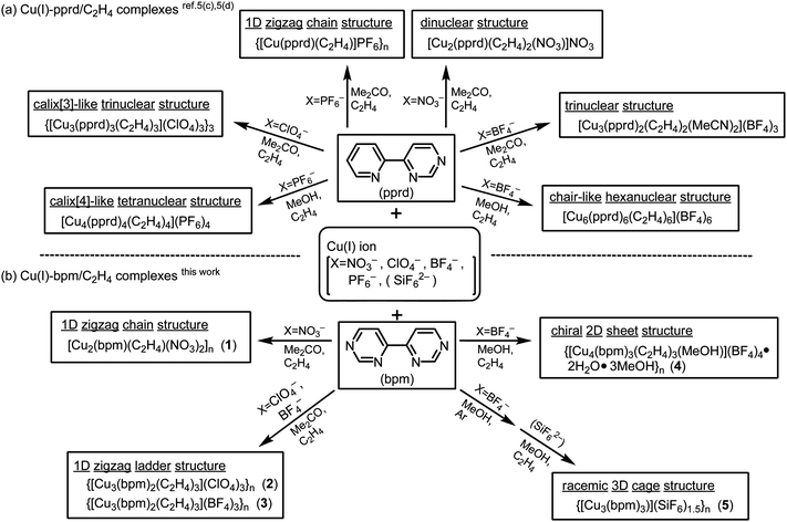 Cu(i)–{pprd, bpm}/C2H4 complexes.