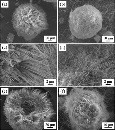 (a, b) Low-magnification, (c, d) high-magnification and (e, f) cross-sectional SEM images of potassium titanate whiskers grown from (a, c, e) Ti sphere and (b, d, f) Ti powder.