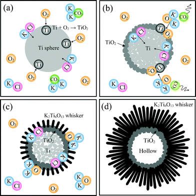 Illustrations of the formation mechanism of potassium titanate whiskers from Ti spheres.