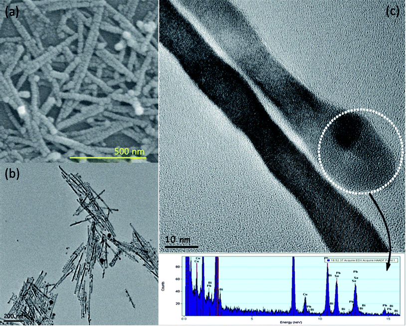 High resolution (a) SEM and (b) TEM images of PbSe nanorods synthesized using the Bi catalysts. (c) A magnified HR-TEM image and EDS data showing the Bi tip and its elemental analysis, respectively.
