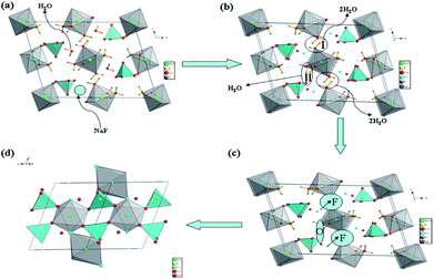 The idealized model of preparing the NaFeSO4F from the raw material FeSO4·7H2O and NaF: (a) initial FeSO4·7H2O; (b), (c) the ideal intermediate NaFeSO4F·6H2O structure; (d) the final NaFeSO4F structure.