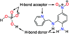 Hydrogen bond acceptor count