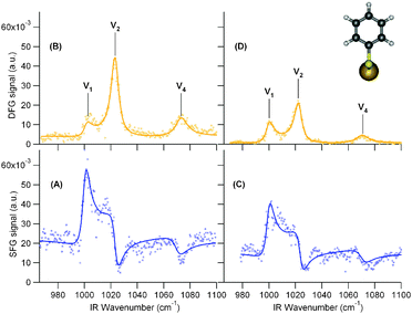 Left: SFG (A) and DFG (B) spectra of thiophenol molecules (insert) adsorbed at the AuNps/APHS/Si(100) interface. Right: SFG (C) and DFG (D) spectra of thiophenol molecules adsorbed at the AuNps/APTES/Si(100) interface. Lines are fits to the data based on eqn (1) and (2). SFG and DFG scales are the same to ease the comparison between the spectra.