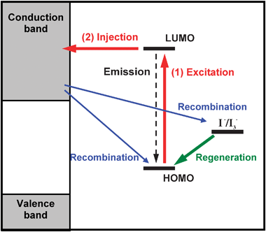 Schematic representation of the main processes involved in a DSSC.