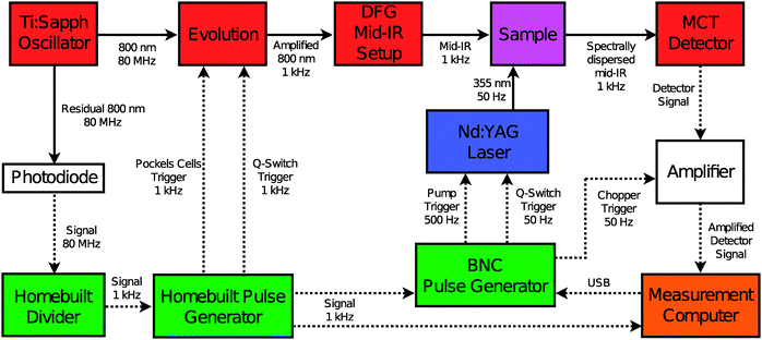 Electronic setup used to synchronise the Ti:sapphire and Nd:YAG laser systems. The solid lines represent light pulses, the dashed lines represent electronic pulses. The different colors indicate: electronics (green); infrared source and detection (red); UV source (blue); sample (purple); light and signal amplification (white); data acquisition (orange).