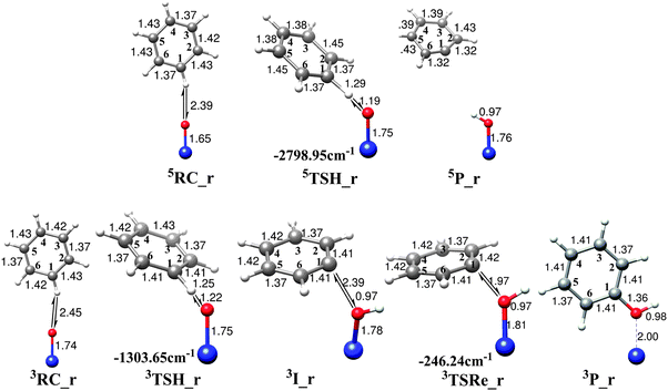 Optimized geometries of the reactant complexes, transition states, intermediates and products for the benzene hydroxylation by FeO2+ in acetonitrile along the radical mechanism (rebound mechanism). Imaginary frequencies of transition states are shown by arrows and values are also given.