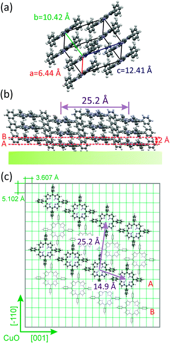 (a) Unit cell of the triclinic polymorph observed in a 37 nm thick H2TPP film grown on a Cu(110)-(2 × 1)O surface. (b) Side view of H2TPP molecules orienting with the  net plane parallel to the Cu(110)-(2 × 1)O substrate. (c) Alignment of H2TPP molecules on the oxygen reconstructed Cu(110) surface in top view.