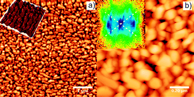 
              AFM images of a 37 nm thick H2TPP film grown on Cu(110)-(2 × 1)O. (a) Crystallites with a size of 0.013 μm² and an average aspect ratio of 1 ∶ 1.4 are observed (z-scale 50 nm). The inset is a 3D representation of 1 μm detail which clearly demonstrates that the crystals are aligned. (b) 1 μm detail of the H2TPP film showing facetted crystallites. The inset displays the slope distribution (x,y range from −1 to 1 or −45° to 45°) found in the image. Facets with an inclination angle of 29° ± 5° are most common (dashed lines). The two dominant azimuthal directions of the facet normals are separated by 76° ± 8°.