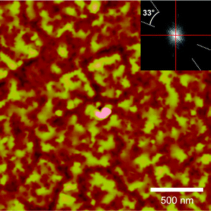 
              AFM image of a 30 nm PtTPP film grown on KCl(100). The inset shows the Fourier transform of the image. The dashed white lines denote the preferential alignment of the PtTPP crystallites in respect to the substrate azimuths (solid red lines).