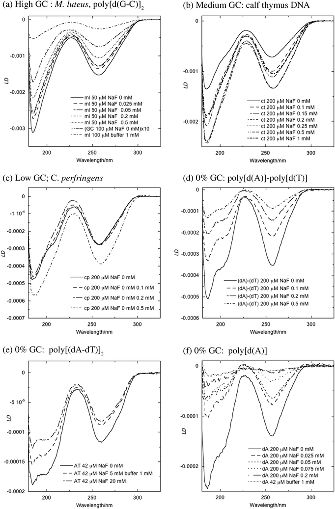 
            LD
            spectra (in terms of differential absorbance) of seven DNA types as a function of NaF concentration. Concentrations are indicated in the figure. Buffer denotes 1 mM sodium cacodylate. Spectra were measured in a 0.5 mm path length Couette flow cell spinning at ∼3000 rpm at 22 °C. Quartz cut-off for the sample capillary is at 182 nm in these spectra. The data are presented in order of decreasing GC content, as indicated: (a) M. luteus and poly[(dG-dC)]2, (b) calf thymus, (c) C. perfringens, (d) poly[d(A)]-polyd(T)], (e) poly[(dA-dT)]2, (f) poly[d(A)].