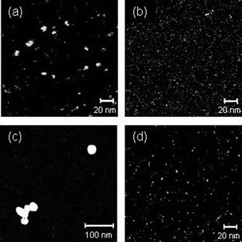 
            SEM images of Pt nanoparticles after 120 min irradiation with a UV laser (a) in a water solvent without PVP, (b) in a water solvent including 0.1 mM PVP, (c) in an ethanol/water (1 : 1 volume ratio) solvent without PVP, and (d) in an ethanol/water (1 : 1 volume ratio) solvent including 0.1 mM PVP.