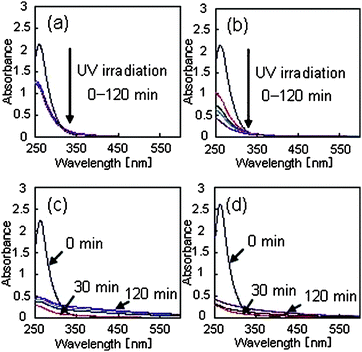 The temporal changes in the UV/VIS spectra during UV light irradiation. The spectra for 0, 30, 60, 90, and 120 min irradiation are shown (a) in a water solvent without PVP, (b) in a water solvent including 0.1 mM PVP, (c) in an ethanol/water (1 : 1 volume ratio) solvent without PVP, and (d) in an ethanol/water (1 : 1 volume ratio) solvent including 0.1 mM PVP.