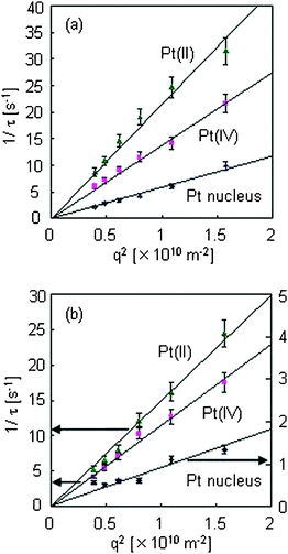 1/τ vs. q2 plots for H2Pt(ii)Cl4, H2Pt(iv)Cl6, and Pt nucleus species analyzed from the data shown in Fig. 3, with (a) 0 mM PVP and (b) 1 mM PVP in a water solvent.