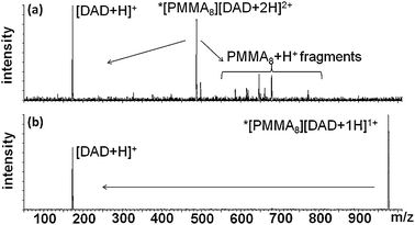 Collision-induced dissociation mass spectra of (a) [PMMA8][DAD + 2H]+2 and (b) [PMMA8][DAD + 1H]+1 obtained at Ecom of 1.26 eV and 0.95 eV respectively. In both cases, only one dissociation pathway exists under these experimental parameters. See experimental procedures for conditions.