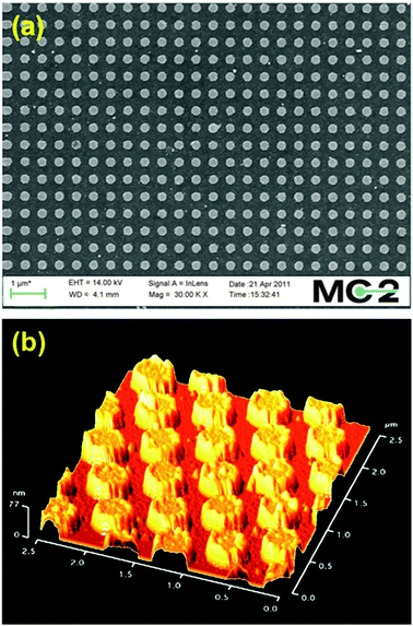 Scanning electron (a) and atomic force (b) microscopy images of sample (g) Au 250–500.