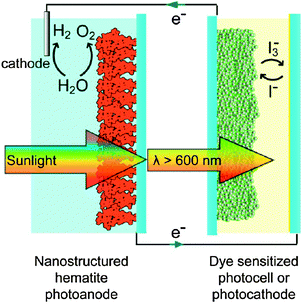 Scheme of the tandem cell approach to solar water splitting. A nanostructured hematite photoanode and a second photocell, here a dye sensitized solar cell, that absorb complementary wavelengths of sunlight, can achieve unassisted water cleavage with only sunlight as an input.