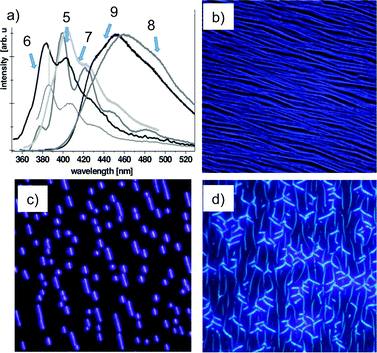 (a) Fluorescence spectra of the symmetrically functionalized p-quaterphenylenes 5–9; (b–d) fluorescence microscopy images of nanoaggregates on muscovite mica (λexc = 365 nm) from 5 (a, 200 × 200 μm2, Ts = 340 K), 6 (b, 95 × 95 μm2, Ts = 380 K) and 7 (c, 83 × 83 μm2, Ts = 300 K). (Adapted with permission fromref. 72. Copyright 2008, Royal Society of Chemistry.)