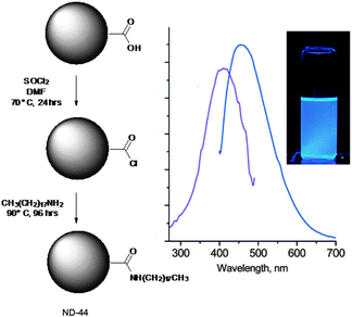 Synthetic pathway for the preparation of ND-44. Excitation (violet line, λem = 450 nm) and emission (blue line, λexc = 410 nm) spectra of ND-44 dispersion in CH2Cl2. Inset: photograph of ND-44 dispersion in CH2Cl2 under UV irradiation (λ = 365 nm). (Adapted with permission fromref. 186. Copyright 2009, American Chemical Society.)