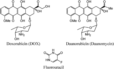 Structures of doxorubicin, daunorubicin and fluorouracil.