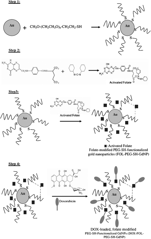 Synthesis of the conjugated AuNPs. Reprinted with permission of Springer (ref. 87, Alamzadeh's group).