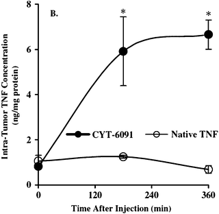 Variation of the TNF concentration in the tumor as a function of the injection time for injections of the vector and of TNF alone. Reprinted with permission of Taylor and Francis (ref. 89, Paciotti's group).