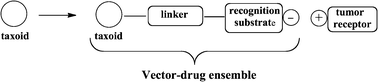 Formation of the drug–vector nanoconjugate.
