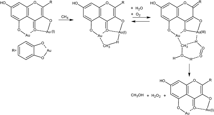 Activation of methane and oxygen by gold complex.