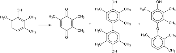 Oxygenation and coupling reactions during phenol oxidation.