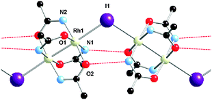 Solid-state structure of [Rh2(acam)4I]n with atom label scheme. Short interdimer amide contacts shown as red dotted lines.