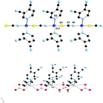 One-dimensional polymeric structures of cyanopyridine polymers with [Cu(pyridine-3,4-dicarbonitrile)2(SCN)]n (top) and [Ag(pyridine-3,4-dicarbonitrile)2(NO3)]n (bottom)). Close non-bonding interaction for [Ag(pyridine-3,4-dicarbonitrile)2(NO3)]n displayed as red dotted lines.