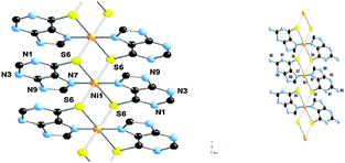 Fragments of the polymeric chains of compounds [Ni(6-MP)2·2H2O]n(left) and [Ni(6-ThioG)2·2H2O]n (right).