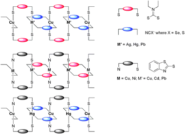 Suggested polymeric structures for the heterobimetallic complexes obtained with benzothiazole-2-thiolate (bzta−), diethylthiocarbamate (Et2dtc−) and chalcogenocyanates (XCN−) (X = S and Se) ligands.