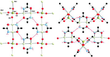 Top (left) and side (right) view of the square sheet formed by [{Rh2(acam)4}2(μ4-ReO4)]. Only hydrogen atoms involved in hydrogen bonding are displayed.